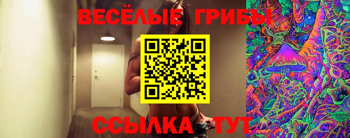 Псилоцибиновые грибы Psilocybe  Галлюциногенные грибы Psilocybe  что такое   Реж  Вход с VPN 
