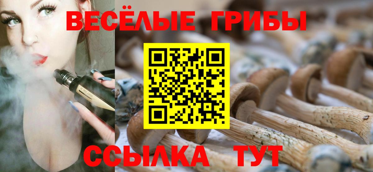 Галлюциногенные грибы Psilocybe Реж